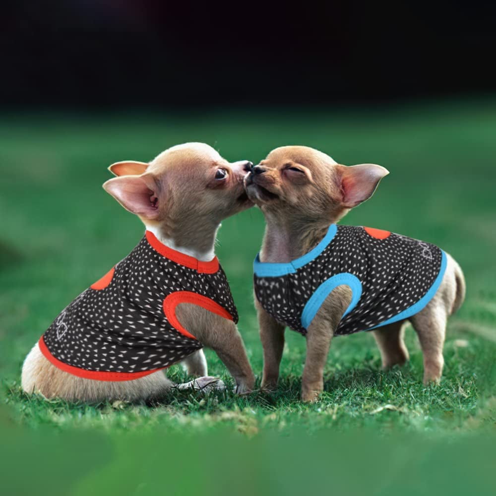 Puppy outfits boy hotsell