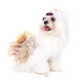 thumbnail image 6 of Summer Pet Cloth Small Dog Dress Puppy Sequined Princess Bubble Skirt Wedding Costume (Gold XL) Bienvenido, 6 of 8