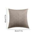 thumbnail image 3 of Lilixerw 17.7 x 17.7 Inch Decorative Throw Pillow Covers,Velvet Pillow Cover Soft Pillowcase for Sofa, 3 of 6