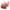 Bean paste+Cramel, variant on fheaev 2 Pack Front Closure Bras For Women Plus Size Full Coverage No Underwire Comfort Wireless Snap Closing Convenient Everyday Bra Front Button Bras Middle-Aged Older Women Front Buckle Corset Bra