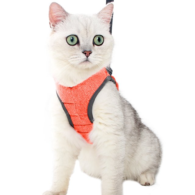 Cat Harnesses Vest Leash Set With Adjustable Buckle Comfortable Breathable Escape-proof Pet Clothes