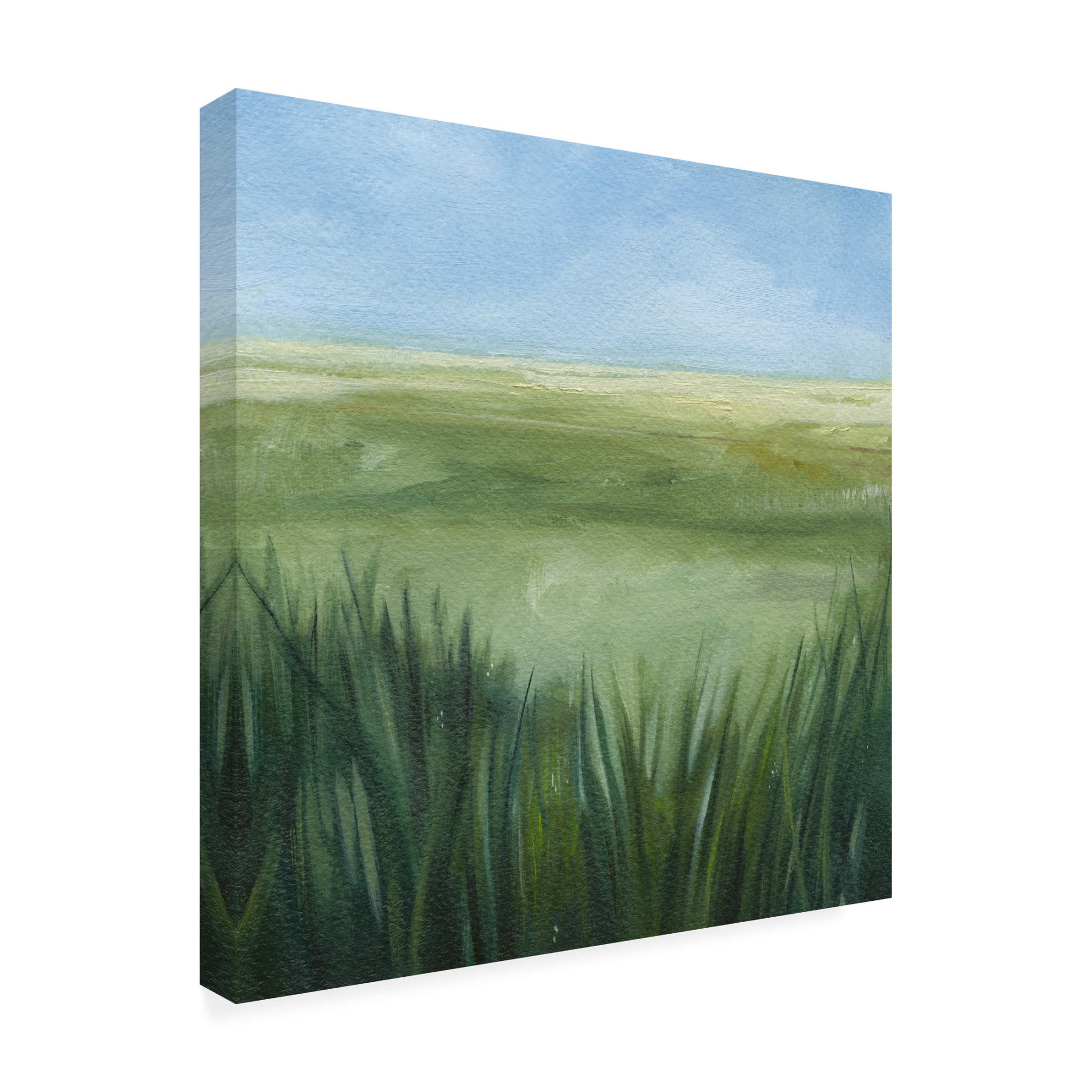 Trademark Fine Art Grace Popp  Tall Grass Plains II Canvas Wall Art