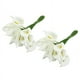 thumbnail image 2 of 48Pcs Mini Calla Ramo de Flores Artificiales Decoración de la Boda DIY Guirnalda Regalo, 2 of 5