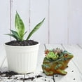 thumbnail image 2 of Jardinière en Forme Miniature pour Balcon Maison Intérieur Pot Succulent Décoration Micro, 2 of 9