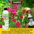 thumbnail image 5 of Harris 100% Cold Pressed Filtered Neem Oil & Insecticide/Miticide/Fungicide, 12 oz, 5 of 9