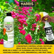 Harris 100% Cold Pressed Filtered Neem Oil & Insecticide/Miticide/Fungicide, 12 oz