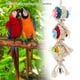 thumbnail image 4 of Juguete seguro para pájaros ANGGREK Columpio Colorido Resistente a mordeduras, 4 of 8