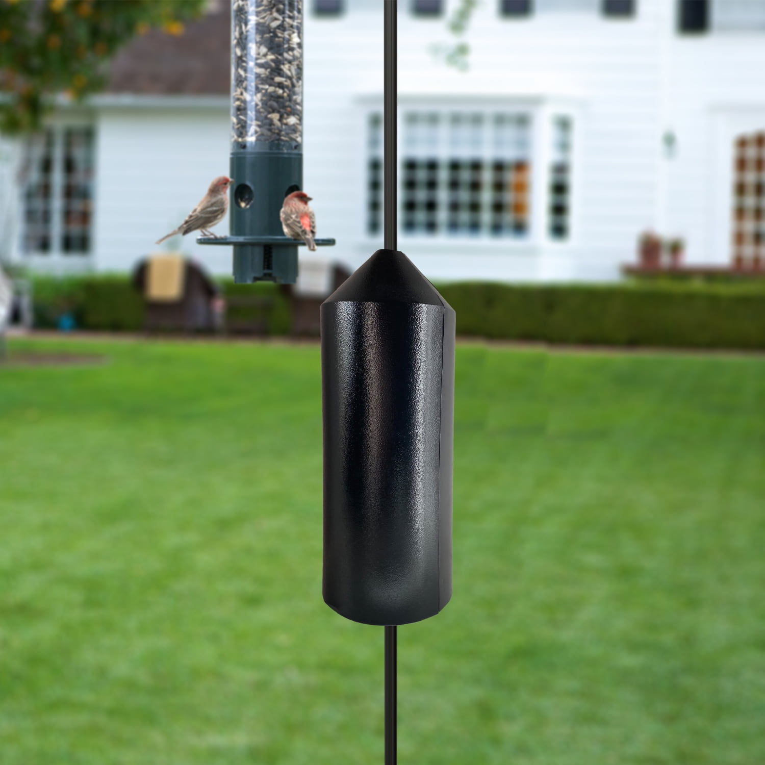 Panacea Products Metal Pole Mount Squirrel Baffle, 15 Inch Black