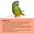 thumbnail image 3 of Alimento Zupreem fruitblend aves medianas grandes loro conuro 907 gr. Zupreem Zupreem Alimentos ave, 3 of 4