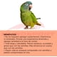 thumbnail image 3 of Alimento Zupreem fruitblend aves medianas grandes loro conuro 907 gr. Zupreem Zupreem Alimentos ave, 3 of 4