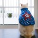thumbnail image 5 of Bola giratoria de hierba gatera para gatos naturales, bolas para lamer, aperitivos molares de hierba gatera (azul lago) Ndcxsfigh Para estrenar, 5 of 7