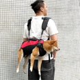 thumbnail image 5 of Pet Carrier Bag with Breathable Adjustable Shoulder Strap, Horizontal Hugging Pouch for Outer Covering, Short Trip Comfortable Pet Carrier, 5 of 5
