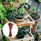 thumbnail image 4 of 30 ganchos para macetas colgantes, soporte para plantas, perchas para plantas de Chlorophytum, 4 of 5