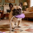 thumbnail image 5 of Creatine Suction Cup Chew For Interactive Teething Puppy Long Lasting Cleaning, 5 of 5