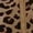 dark brown--2, variant on Women Leopard Print 2 Piece Set Zip Up Long Sleeve Top High Waist Shorts Outfit