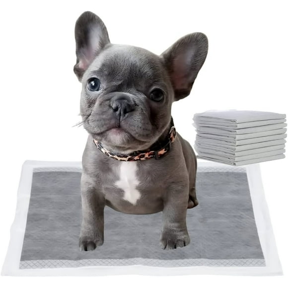 10 Unités Tailles Tapis pour Chiots au Charbon de Bois Dites Adieu aux Tapis Puants pour Toujours