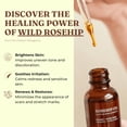thumbnail image 3 of Aceite de semilla de rosa mosqueta Offernova Organic 30 ml para todo tipo de piel, 3 of 5