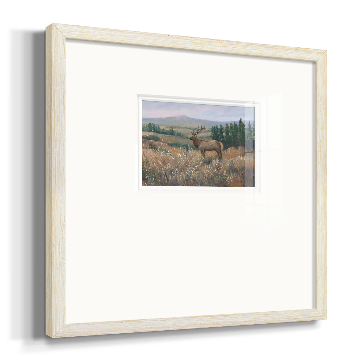 Western Wildlife IIPremium Framed Print