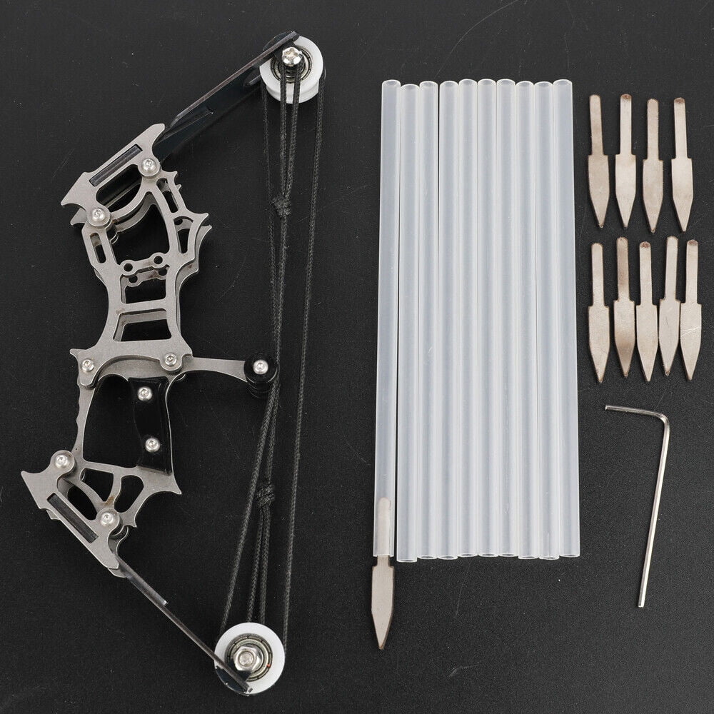 AME Mini 6 Inches Compound Bow Kit Arrows Archery Toy Gift Target Shooting