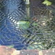 thumbnail image 4 of Billuyoard 10 UNIDS Estanque de Forma Hexagonal Protector de Peces Protector de Estanque Red Flotante para Estanque Jardín Parque Jardín y Patio Billuyoard HA015587-00, 4 of 6