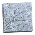 thumbnail image 2 of Gango Home Decor Snow Covered Trees II by Kathy Mahan (Ready to Hang); One 24x24in Hand-Stretched Canvas, 2 of 4