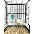thumbnail image 4 of Choco Nose Patented No-Drip Water Bottle/Feeder and Detachable Food Dish Set for Puppies/Toy Breed Dogs/Rabbits/Cats/Chinchillas and Other Small Pets and Animals 10.2 Oz Nozzle 13mm, Aqua(C528 C607), 4 of 5