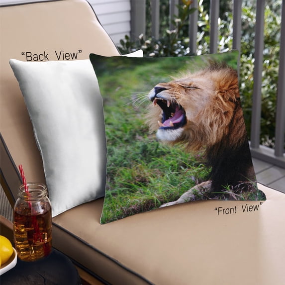 Ahgly Company Animals Lion Outdoor Throw Pillow, 18 inch by 18 inch