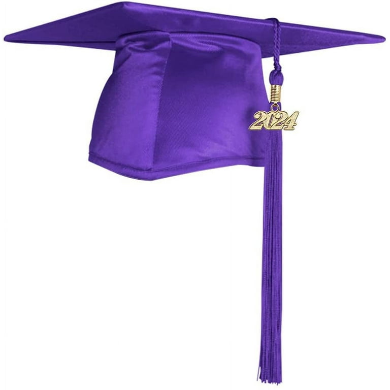 Endea Graduation Shiny Cap & Tassel (Purple, 2024) 