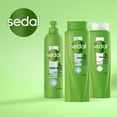 thumbnail image 4 of Shampoo Sedal Shampoo 620 ml, 4 of 6