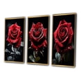 thumbnail image 3 of Designart "Red Black Rose gracefulness II" Floral Framed Wall Art Set Of 3 - Red Rose Frame Gallery Wall Set For Home Decor, 3 of 7