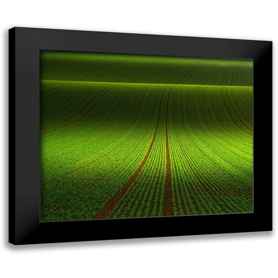 Schumacher, Nicolas 17x15 Black Modern Framed Museum Art Print Titled - November Green