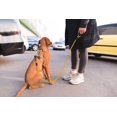 thumbnail image 2 of LAICAIW Rope Dog Leash 4 FT with Comfortable Padded Handle, Highly Reflective Threads Strong Dog Leash for Medium Dogs, 3/8 inch, Yellow, 2 of 7