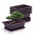 thumbnail image 4 of Typpkmm Rectangular Flowerpots Plastic Bonsai Plants Pot, 4 of 7