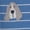 Blue Striped Dog, variant on Carter's Child of Mine Baby Sleep 'N Play, Sizes Preemie-6/9 Months