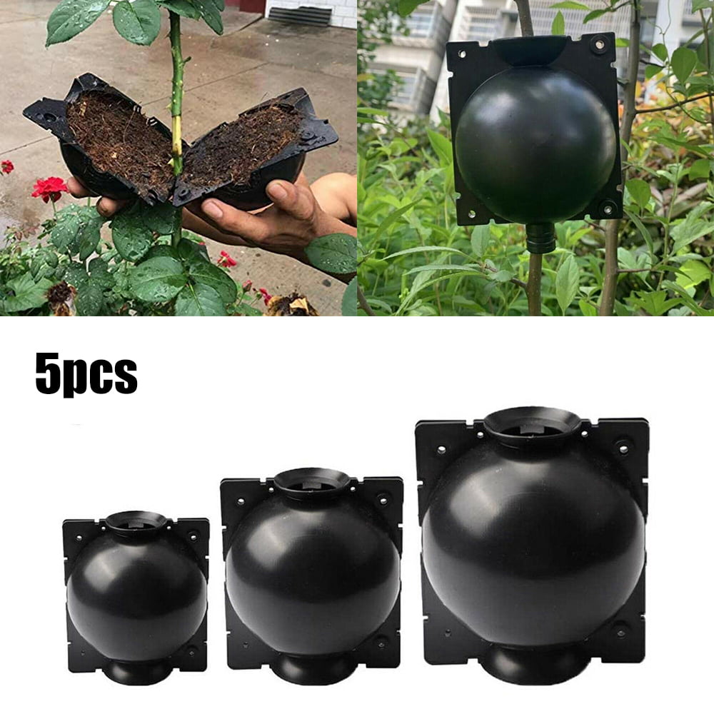 5 PCS Plant Rooting Device Propagation Ball High Pressure Box Growing Grafting-S