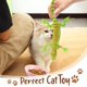 thumbnail image 4 of Juguete para gatos CiyVolyeen Lizard Catnip, paquete de 4 unidades, 36 x 15 cm, 4 of 7