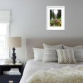thumbnail image 6 of Banff Flowers In National Park Nature Photo Poster, Framed Art Print Wall Art Sold by Art.Com, 6 of 6