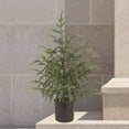 thumbnail image 6 of Artificial Norfolk Pine Christmas Tree Potted Ornament For Living Room Decor Maintenance Free Versatile Fake Tree With Realistic Flexible Branches And Durable Weatherproof Finish, 6 of 7