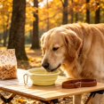 thumbnail image 6 of Collapsible Dog Bowl Silicone, 2 Pack Pet Travel Bowls | Foldable Water Feeder Dish for Small to Large Dogs Cat Walking Hiking Camping, Portable Dog Bowl, 6 of 6