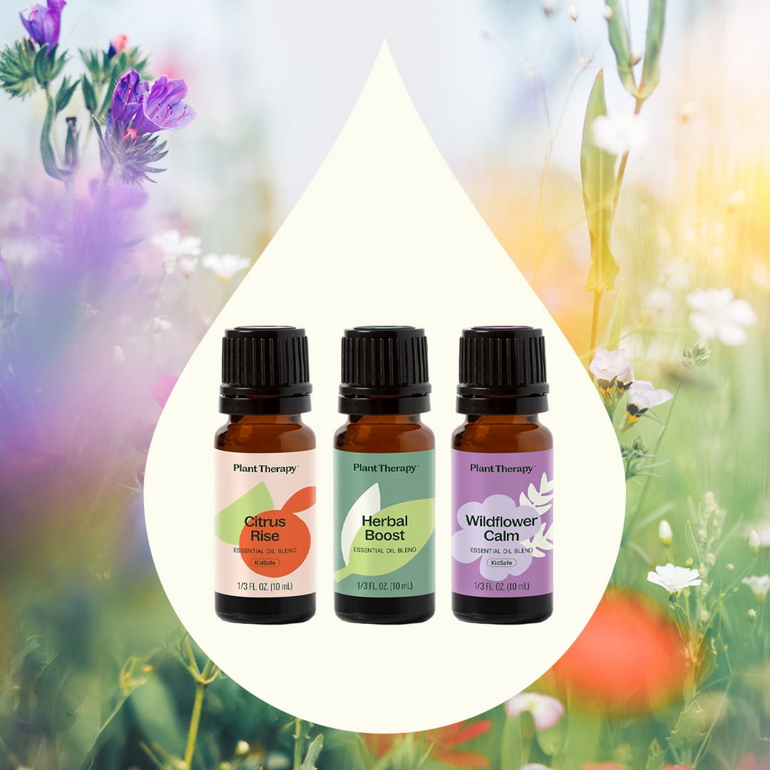 Plant Therapy The Spring Reset Essential Oil Blend 3 Set - Three Exclusive Spring-Focused Blends, Supports Relaxation, Clarity, and Refreshed Energy, Versatile Blends for Home, Work, Routines
