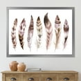 thumbnail image 3 of Designart 'Colourful Boho Art Feather Set X' Bohemian & Eclectic Framed Art Print, 3 of 4