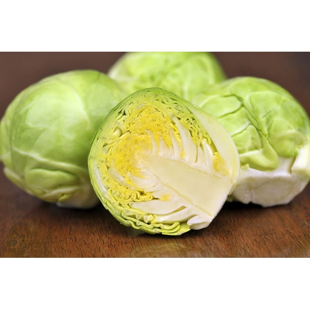 Country Creek Long Island Brussels Sprout Seeds – 100 Seeds, Heirloom, Non-GMO, Easy Grow, USA