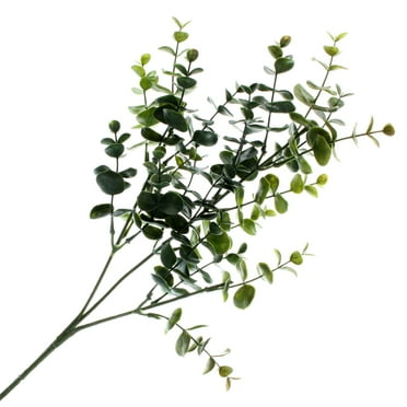 12 Pack: Green Eucalyptus Stem by Ashland®
