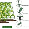 thumbnail image 5 of A-Frame Garden Trellis 47x 47 Inch Cucumber Trellis Garden Plant Support Trellis for Outdoor Vertical Climbing Plants & Flowers, 5 of 7