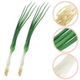 thumbnail image 4 of Cebollas verdes artificiales realistas, simulación de cebolletas realistas, modelo de verduras falsas, modelo de cebolletas falsas para cocina, tienda, exhibición, decoraciones para fiestas, 4 of 5