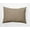 Basswood Brown, variant on Simply Daisy 16" x 16" Easter Polyester Throw Pillow