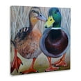 thumbnail image 3 of Stupell Industries Mallard & Brown Ducks Canvas Wall Art design by Violeta Vollmer, 17 x 17, 3 of 7