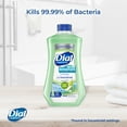 Dial Complete Antibacterial Foaming Hand Soap Refill, Fresh Pear, 32 fl