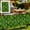 B, variant on Retractable Leaf Fence, Artificial Hedge Expandable Privacy Screen Panel, Decorative Green Wall for Balcony Outdoor Use, Ideal for Patio, Garden & Backyard Privacy Screening