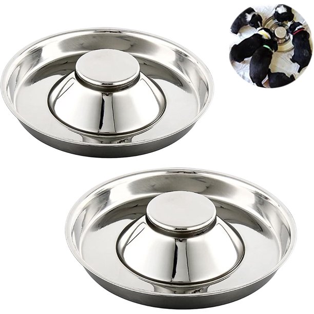 2 cuencos de acero inoxidable para cachorros, para comida, agua y cuencos de alimentación